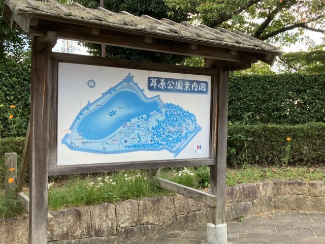 【茨木市】ゆっくり時間を過ごしたくなる耳原公園（みのはらこうえん）