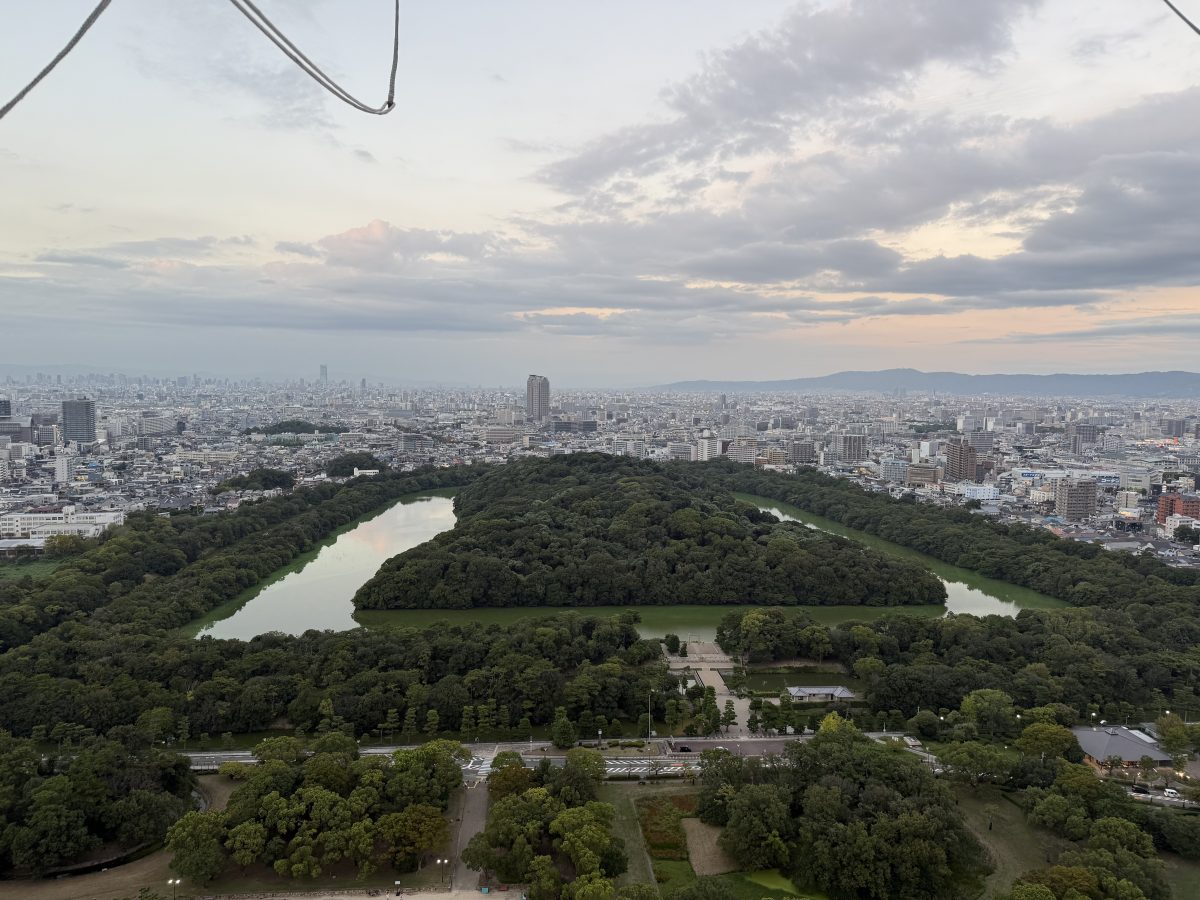 仁徳天皇陵が見えます