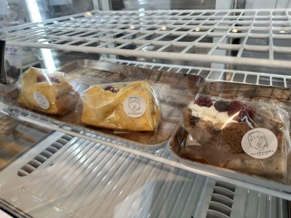 スペシャルシフォン