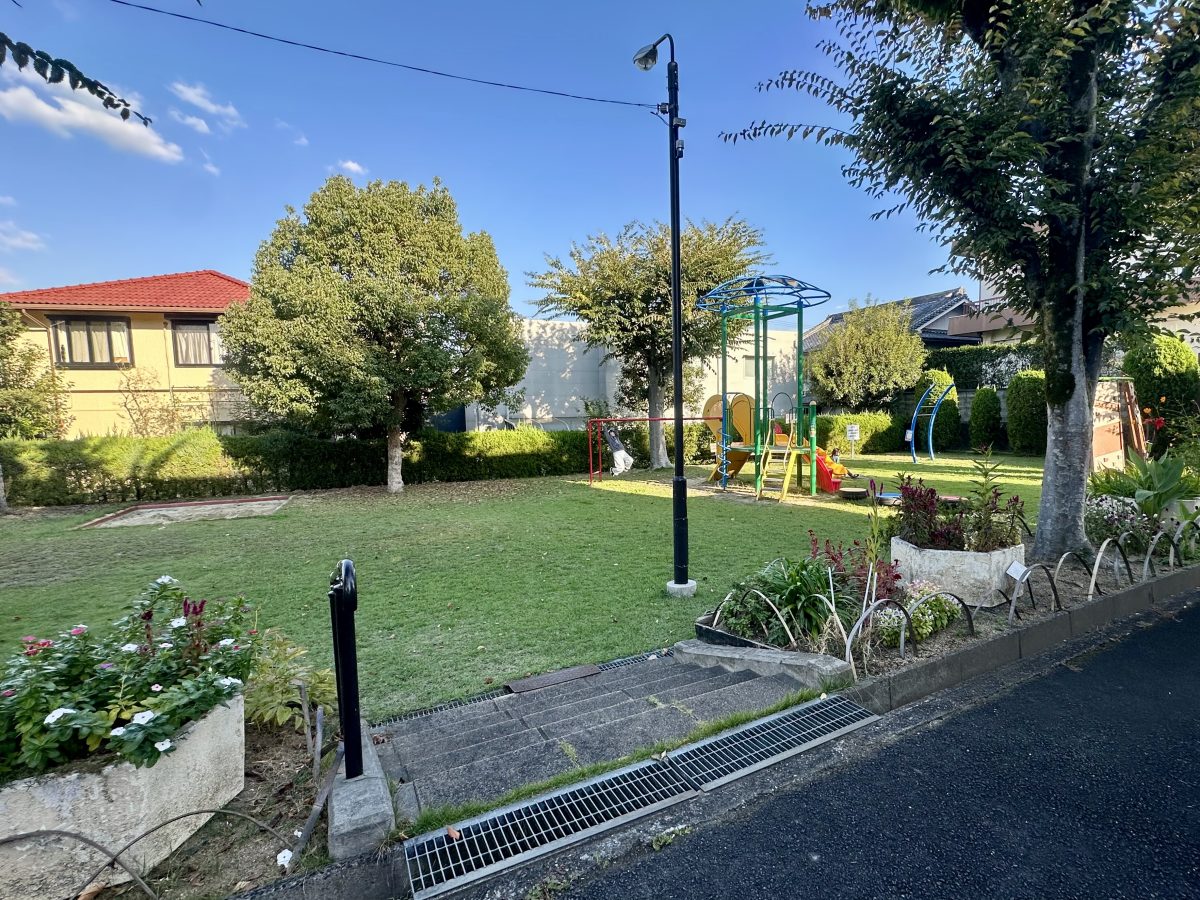 公園を彩る癒しの花壇