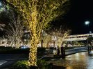 【柏市】柏の葉のまちが輝く！イルミネーション点灯式＆ナイトパレード10/26(日)開催