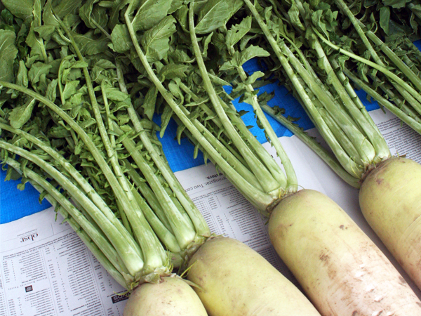 写真はイメージです