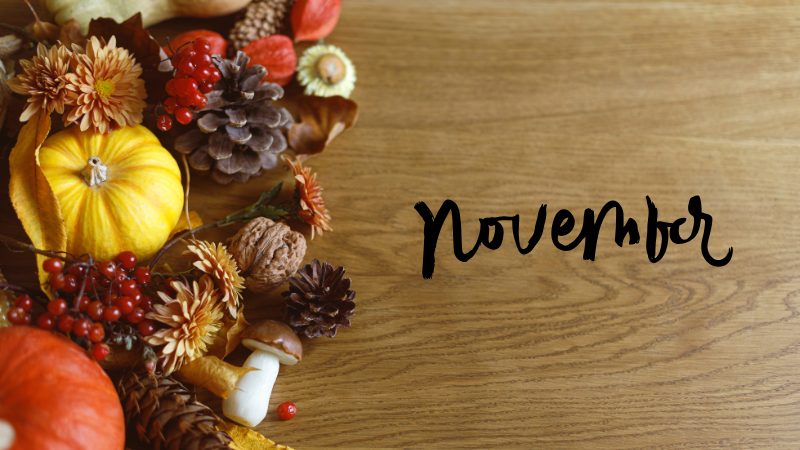 【今週末のイベントまとめ♪】2025年11月1日(土)〜3日(祝)編