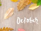 【今週末のイベントまとめ♪】2025年10月4日(土)・5日(日)編