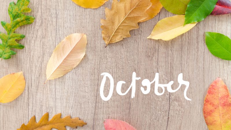 【今週末のイベントまとめ♪】2025年10月4日(土)・5日(日)編