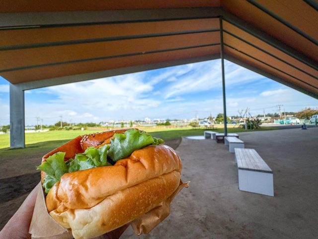 しょうなん野菜バーガー