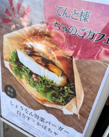 しょうなん野菜バーガー　ちゃのごカフェ