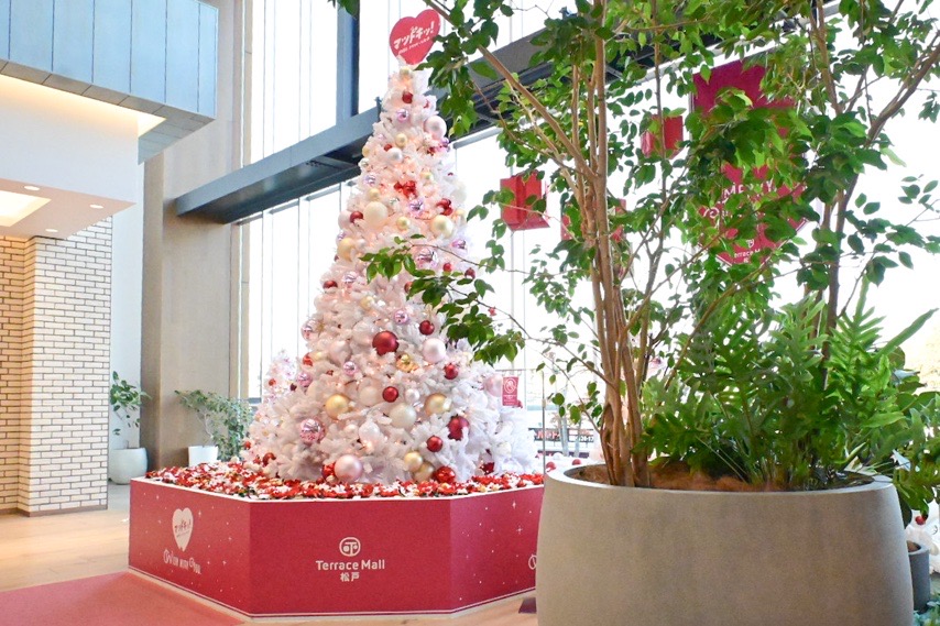 テラス席からはクリスマスツリーが見えて「特別なお昼ごはん」感がぐっと高まります。寒い日は外で長く過ごしにくい分、暖かい店内からツリーを眺められるのはうれしいです♪