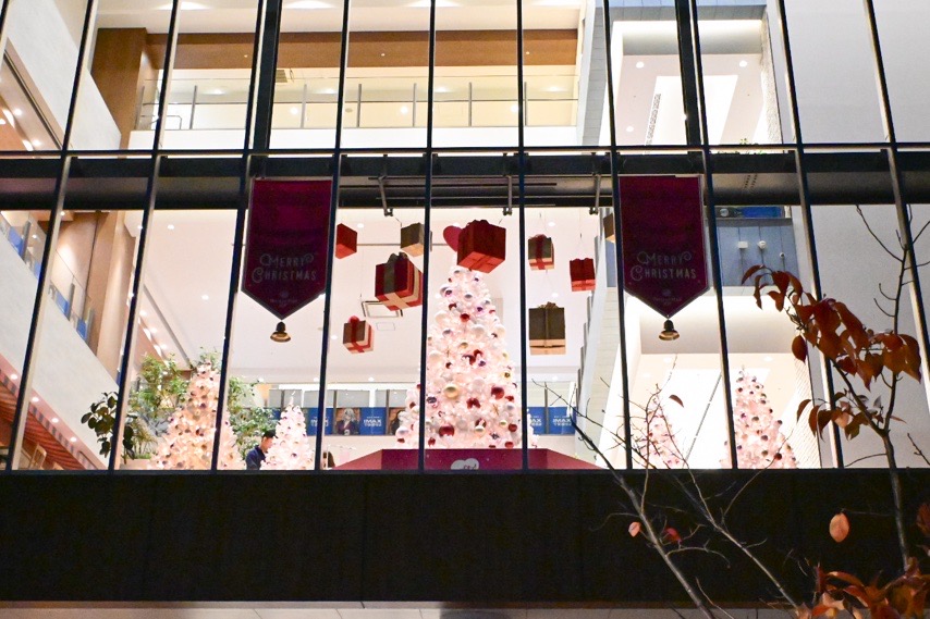 外からもキレイにクリスマスツリーを見ることができます。