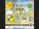 【堺市南区】11/17より参加者申込募集中！11/29（土）泉北レモン収穫祭＠フォレストガーデン