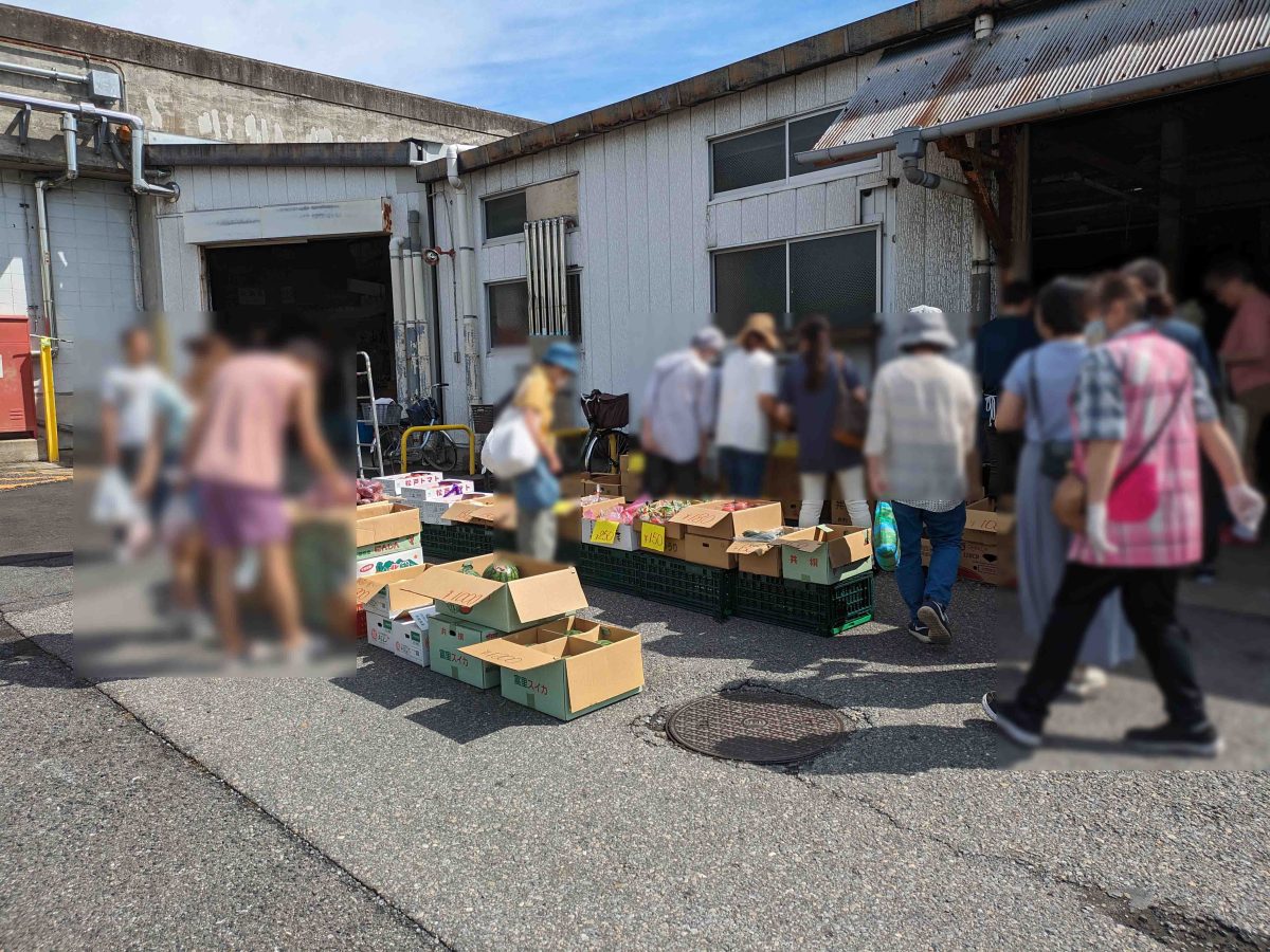 過去開催時の様子