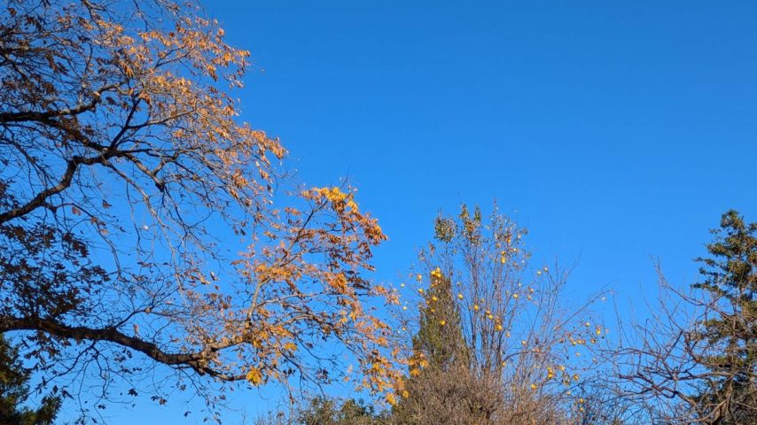 【柏市】【松戸市】令和7年11月22日(土)～12月6日(土) 二十四節気「小雪」～開運日や開運ポイントは？～