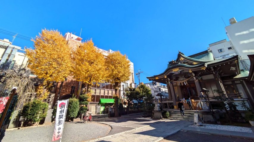 【柏市】季節の御朱印～令和7年12月の御朱印は･･･＠柏神社、羽黒神社、八坂神社、諏訪神社、豊受稲荷本宮、大洞院