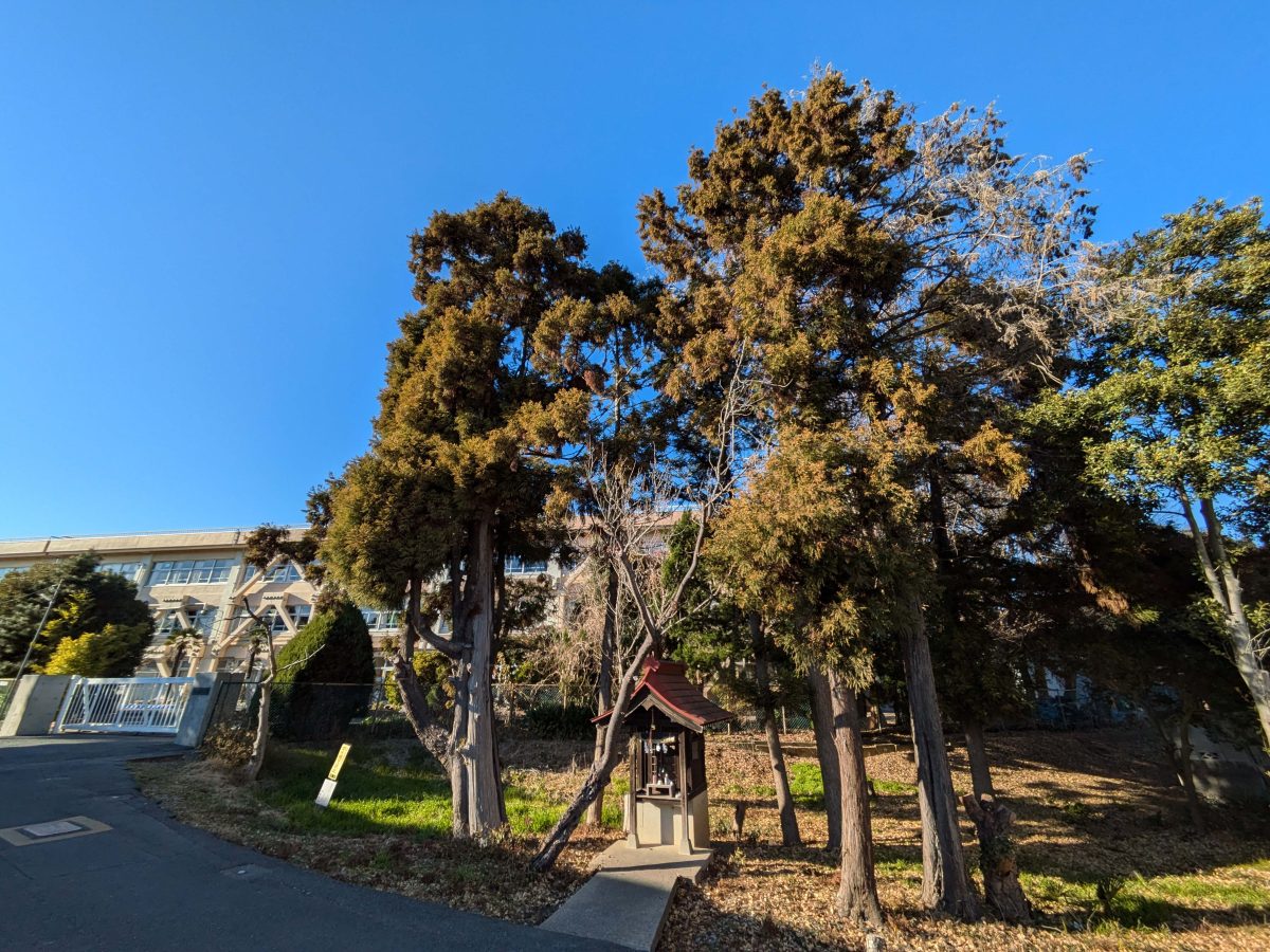 篠籠田の弁財天。左側に写る建物は柏七小。