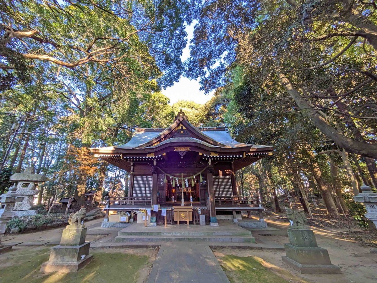地主神社の社殿