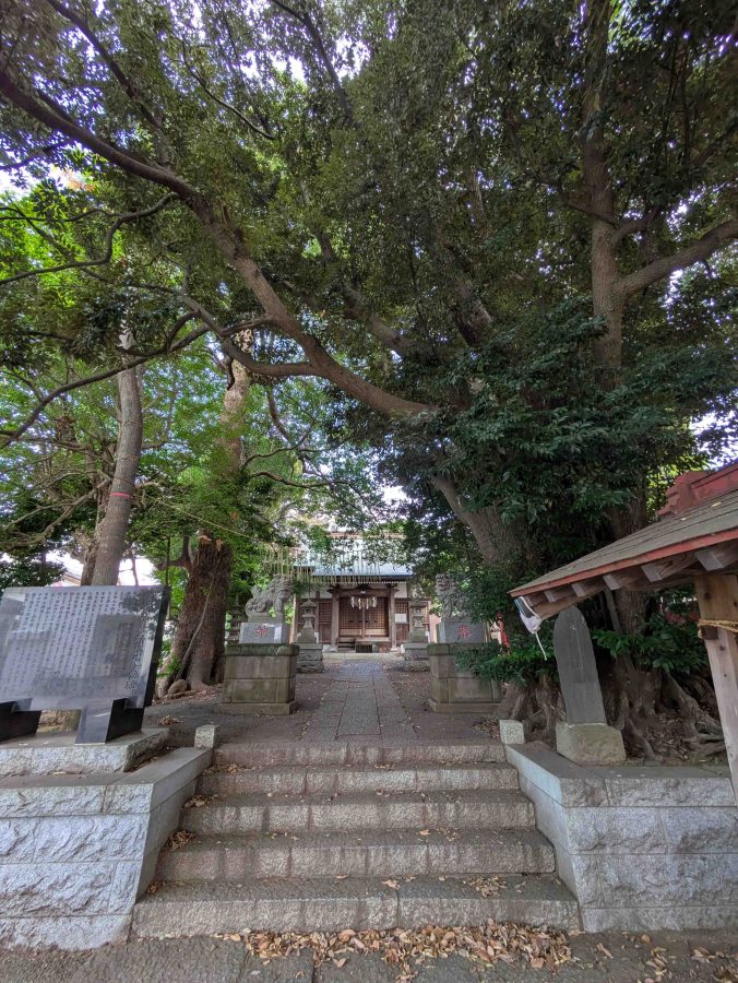 須賀神社の境内
