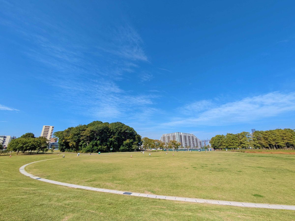 流山市総合運動公園の広場。広々として気持ちいいです。