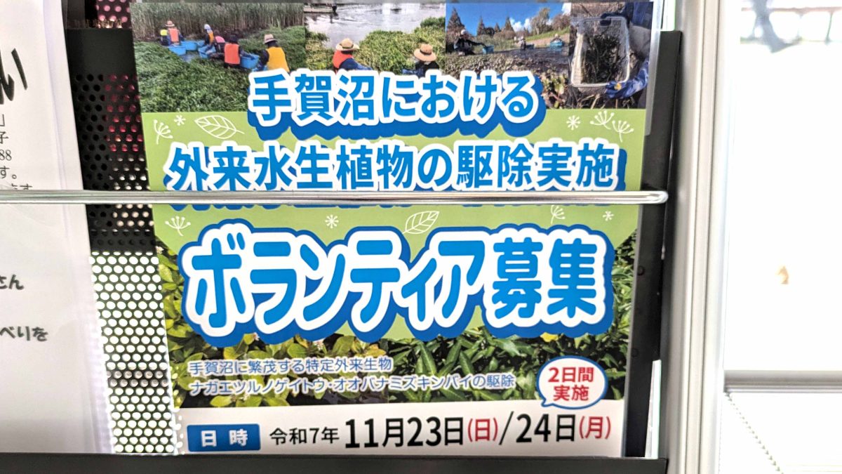 【柏市】2025年11月23日(日・祝)-24日(月・振休) 手賀沼における外来水生植物の駆除実施～ボランティア募集～