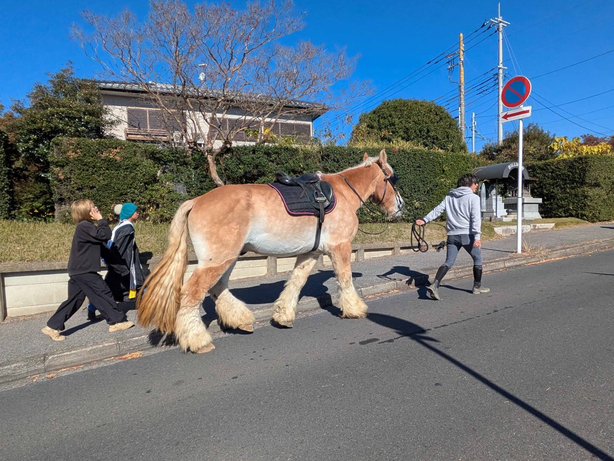 ビリケンさんの前を通る馬