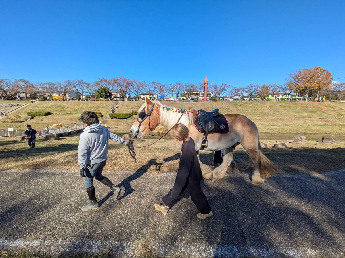 橋を渡って利根運河の南岸へ到着