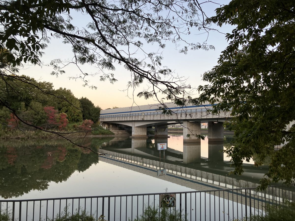 園内にある大きな池「釈迦ヶ池」を見渡せる場所もあります。紫金山公園は広いため目的に合わせてエリアを選ぶと楽しめますよ。