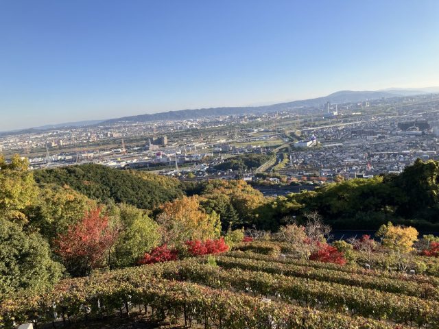 【高槻市】大阪平野を一望できる悠久の丘公園・安満宮山古墳