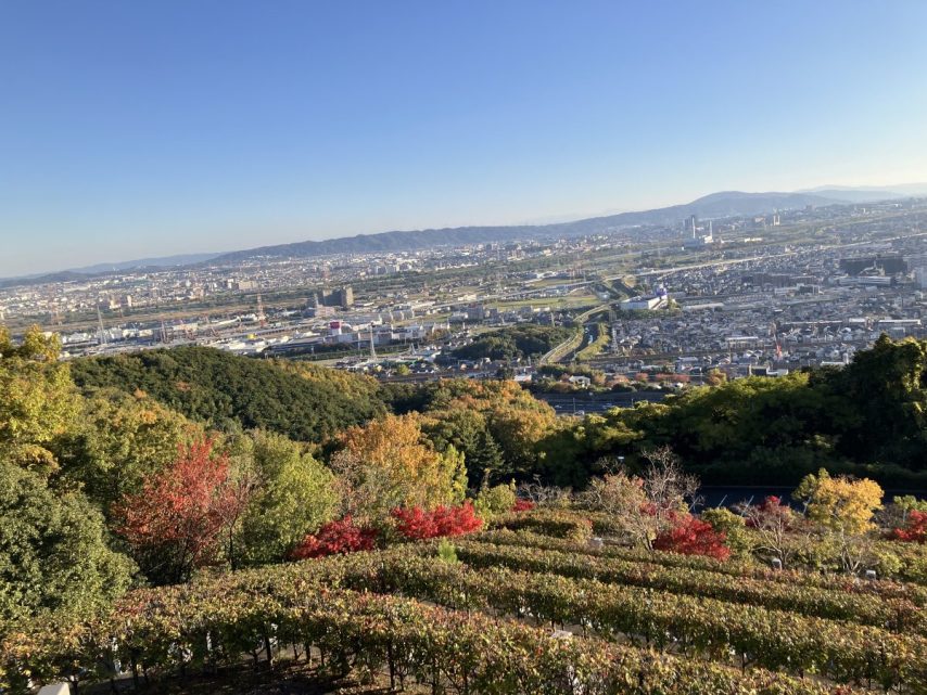 【高槻市】大阪平野を一望できる悠久の丘公園・安満宮山古墳