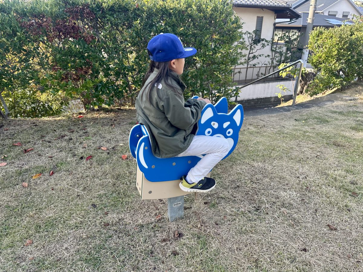 スイング遊具はイルカと思いきやまろ眉犬