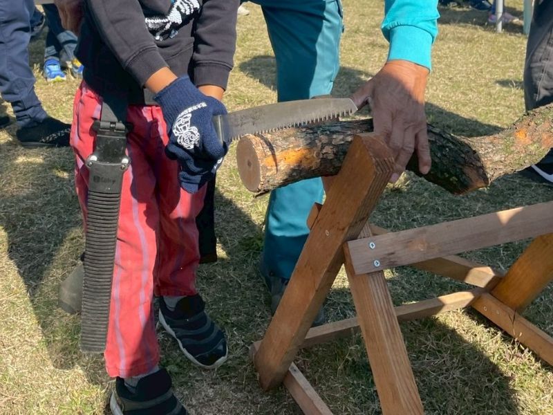 のこぎりで木を切る、本格的！