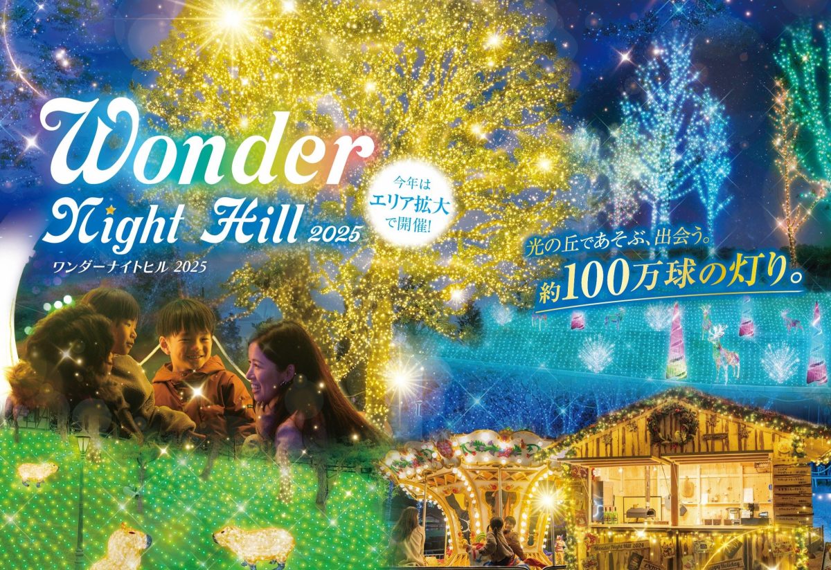【泉ケ丘】ハーベストの丘でイルミネーション「Wonder Night Hill 2025」が開催中！約100万球のロマンチックな光の中で遊ぼう