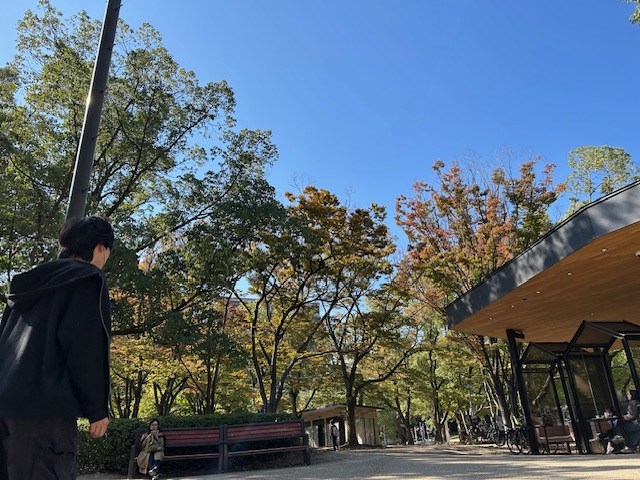 先日、少し紅葉かなの江坂公園。当日は、こんなお天気を望んでおります( ^o^)ﾉ　てるてるボーイズ