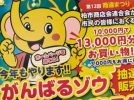 【柏市】【2025年度版】“がんばるゾウプレミアム商品券”応募スタート！1万円で13,000円分／期間・申込方法まとめ