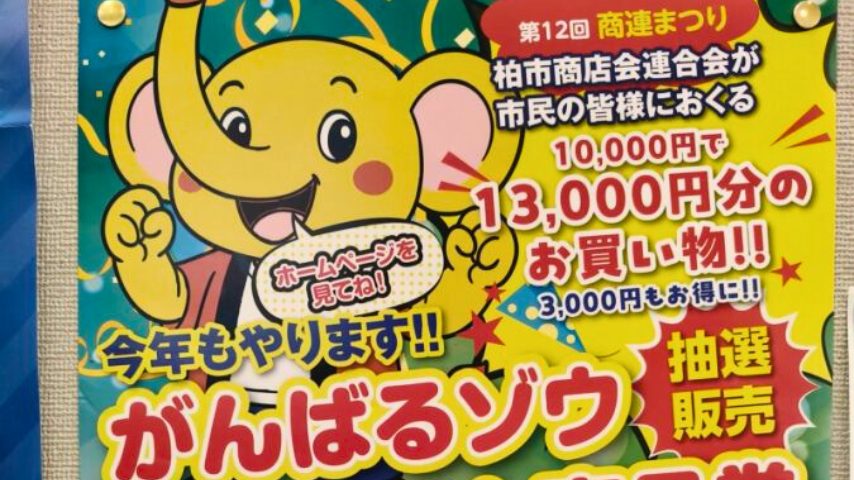 【柏市】【2025年度版】“がんばるゾウプレミアム商品券”応募スタート!1万円で13,000円分/期間・申込方法まとめ