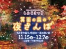 【箕面市】光と音がつくる秋の夜。明治の森箕面国定公園「もみじまつり2025」11月15日（土）〜12月7日（日）開催