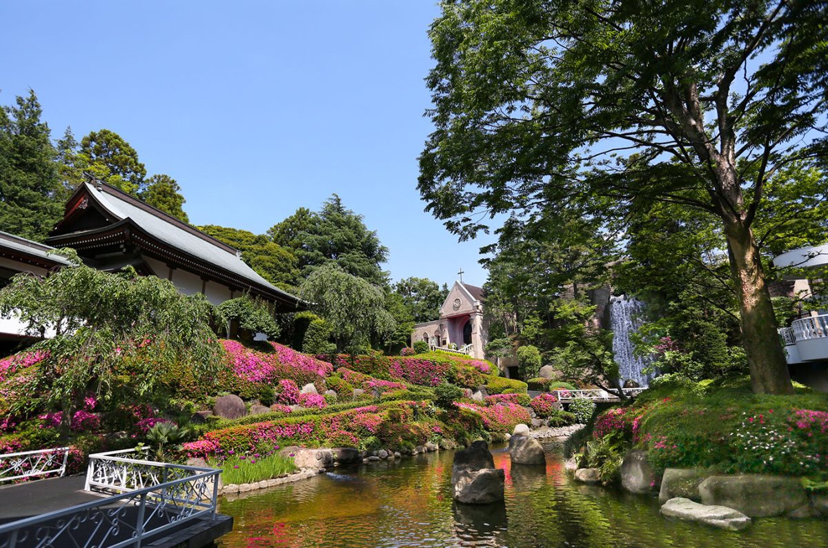 【柏市】12月14日(日)にロイヤルガーデンパレス柏日本閣で”クリスマスを感じる特別な無料開放日”が開催されます!