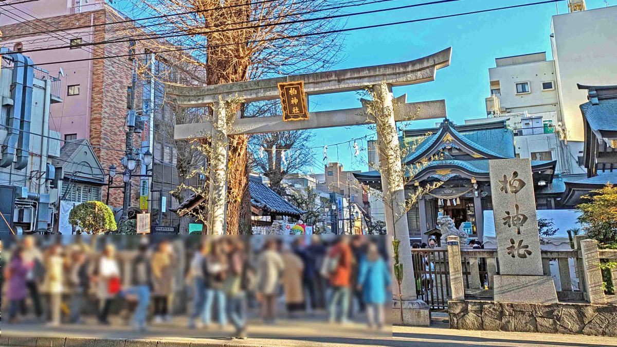 【柏市】季節の御朱印～令和8年1月の御朱印は･･･＠柏神社、羽黒神社、八坂神社、諏訪神社、豊受稲荷本宮、大洞院