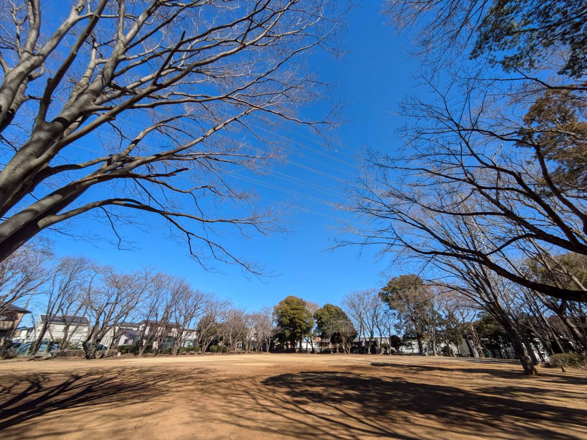 南部公園内の広場