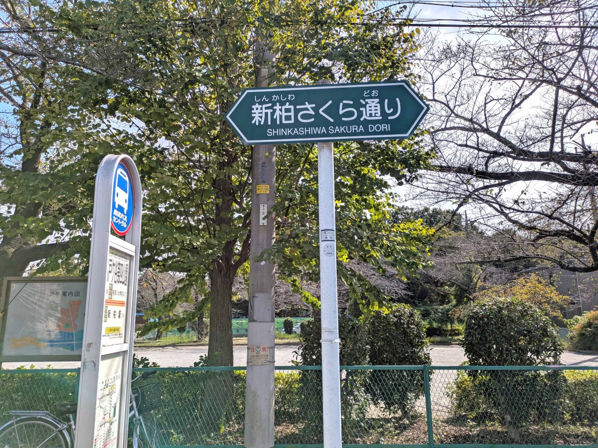 新柏さくら通りの道名標。
