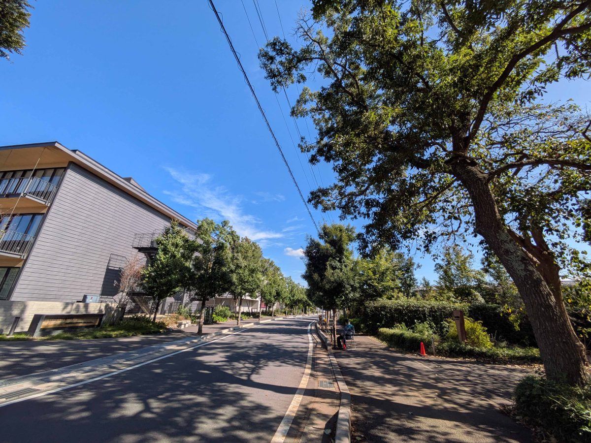 森の美術館に向かう途中の景観