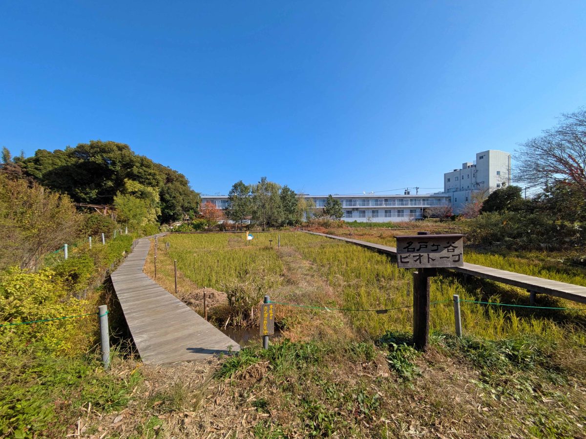 名戸ヶ谷ビオトープ