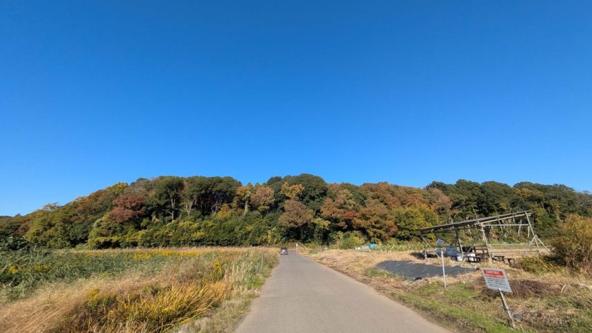 【流山市】失われゆく「命のゆりかご」を次世代へ。休耕田再生プロジェクトメンバー募集！お米が収穫できたら分配も？！