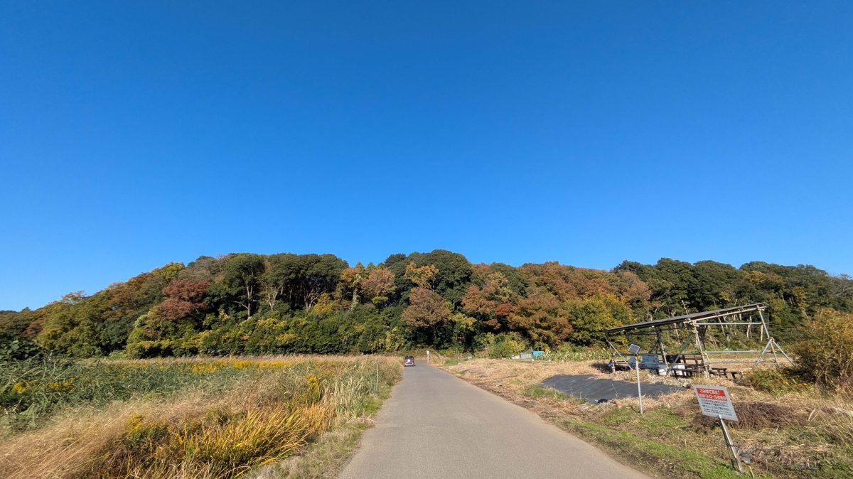 【流山市】失われゆく「命のゆりかご」を次世代へ。休耕田再生プロジェクトメンバー募集！お米が収穫できたら分配も？！