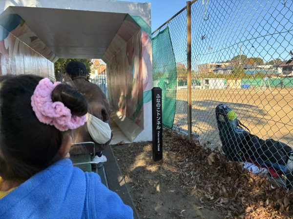 手賀沼公園 ふなのこトンネル アート