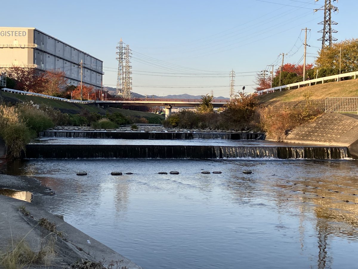 茨木川方面の様子。夕日が沈む様子も見れました。とても静かな場所です。これからの季節暖かい服装で夕日を見に行かれてはいかがでしょうか?
