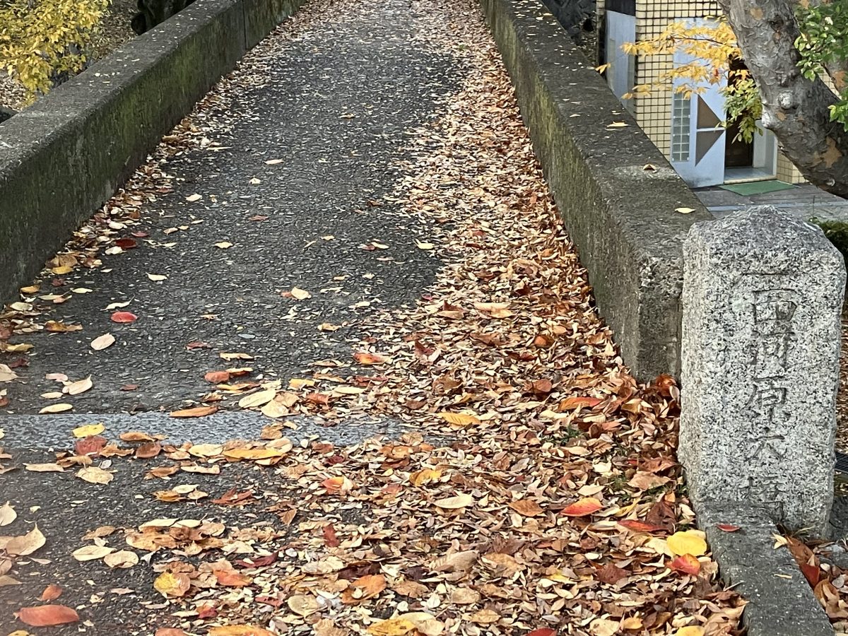 公園内には「石橋」もあり今でも渡ることができます。