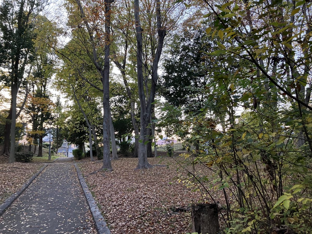 道はきれいに掃除されていてゴミひとつ落ちていません。枯れ葉がじゅうたんのようになっていました。