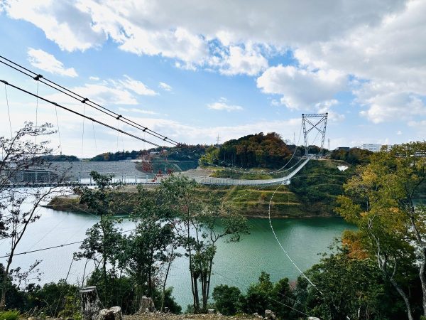 展望ゾーンから見た景色