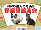 【柏市】【松戸市】2026年1月のねこ情報～1/10(土),17(土),24(土) 保護猫譲渡会 by NPO法人にゃん2