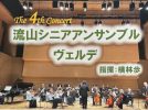 【流山市】入場無料・1/17開催！The 4th Concert 流山シニアアンサンブル ヴェルデ