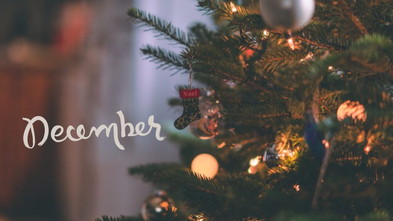 【今週末のイベントまとめ♪】2025年12月6日(土)・ 7日(日)編